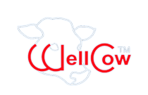 Well Cow Well Cow